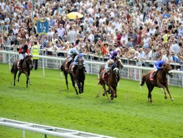 http://betting.betfair.com/horse-racing/York%20half%20furlong.jpg